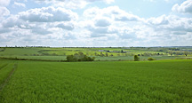 Land for Sale in Leicestershire